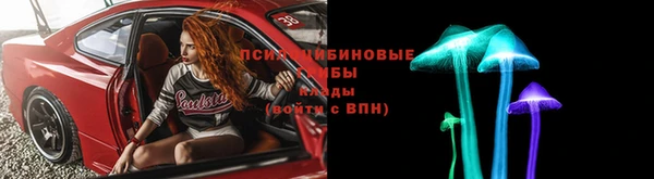 мдпв Карталы