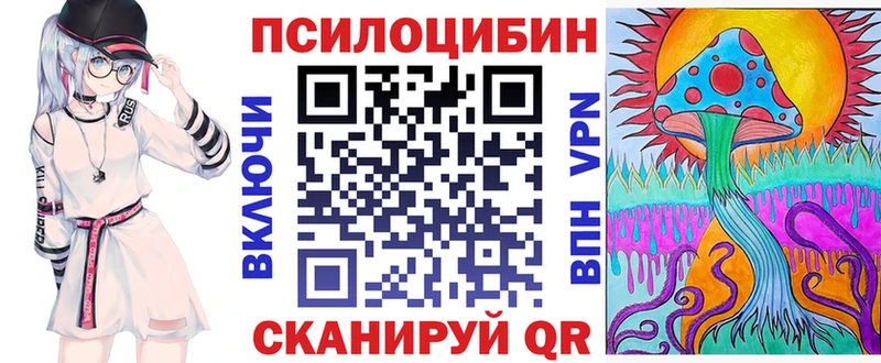 Купить где  Звенигород  Псилоцибиновые грибы Psilocybine cubensis 